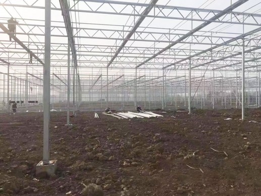 玻璃温室案例