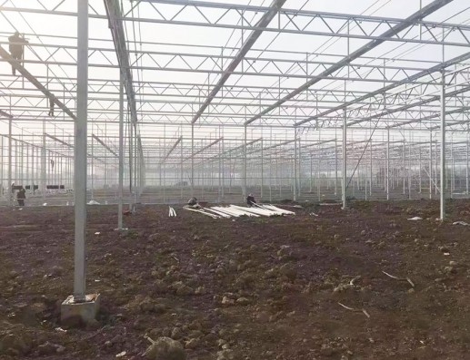 玻璃温室案例